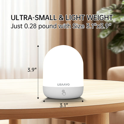 Touch Lamp ( Rainbow Version )