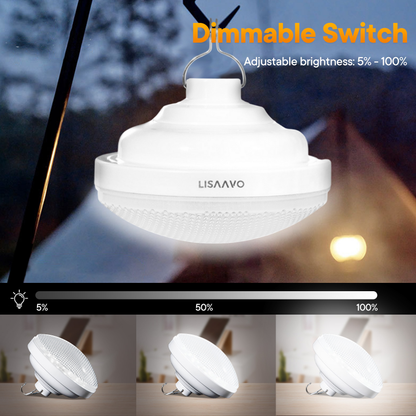 Outdoor Lamp ( Basic Version )