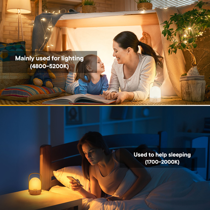 Portable Lamp ( Basic Version )