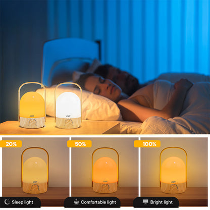 Portable Lamp ( Basic Version )